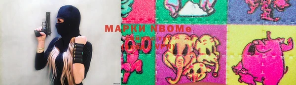 шишки Козельск
