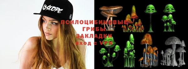 шишки Козельск