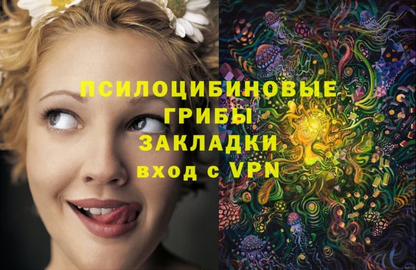 Альфа ПВП Карталы