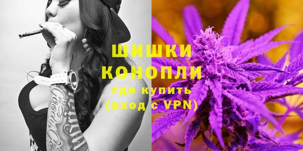 гашик Касимов
