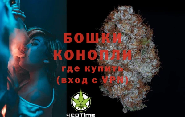 ECSTASY Козловка
