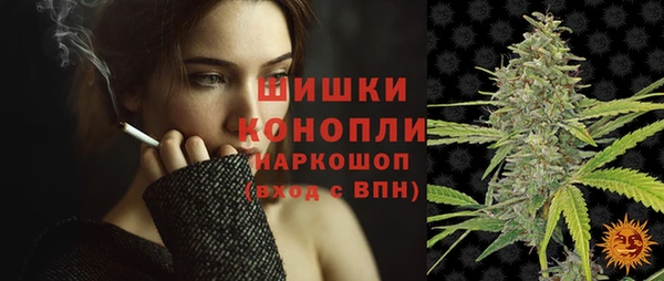 шишки Козельск