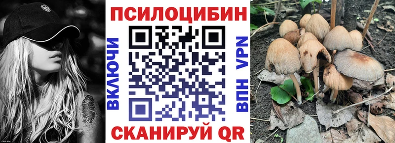 где найти наркотики  Новосибирск  Галлюциногенные грибы прущие грибы 